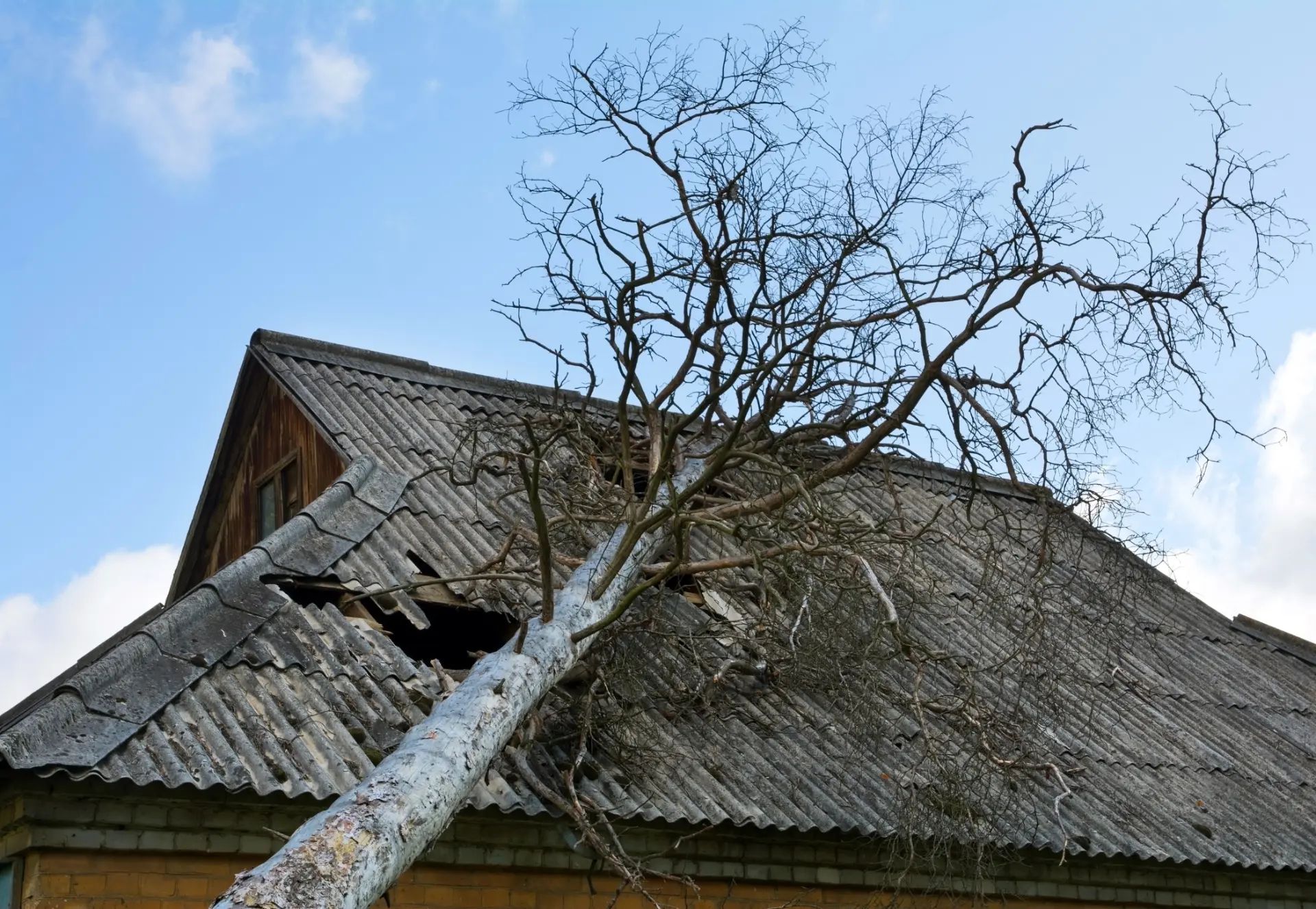 Toit endommagé avec une branche d'arbre tombée causant des dommages structurels